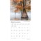 BrownTrout; The Majesty of Trees | 2027 12 x 24 Inch (Hanging) Monthly Square Wall Calendar | Plastic-Free; Category:Wall Calendars; Image:5